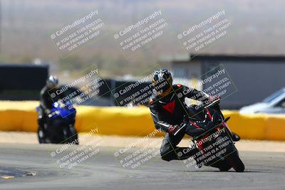 media/Mar-28-2022-Superbike Trackdays (Mon) [[b8603d0f67]]/Novice Group (1130am-12pm)/Turn 2/